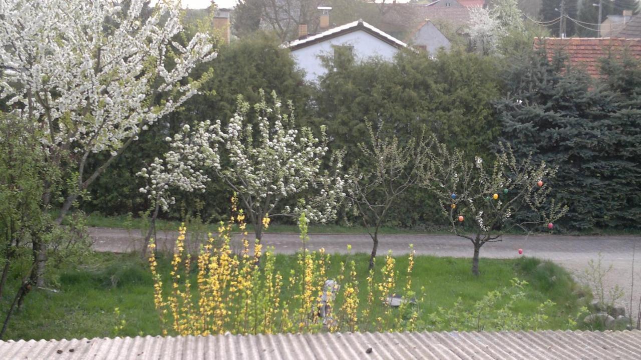 Restaurant Pension Lubusch Gahro Esterno foto